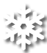 Fiocco di neve